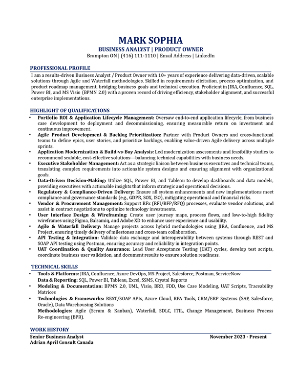 Consultant Pro resume template