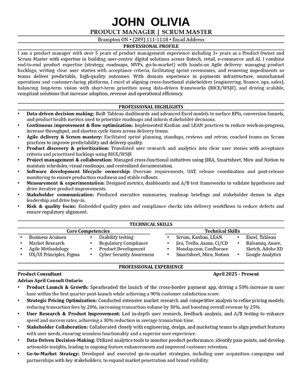 Enterprise Professional resume template